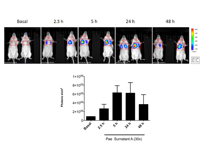 figure-results-1 figure-results-1