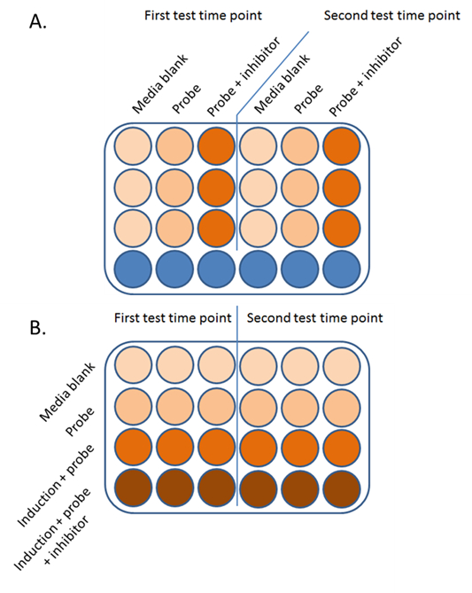 figure-protocol-5 96-well plate assay diagram; media, probe, inhibitor analysis; two time points; experimental results.