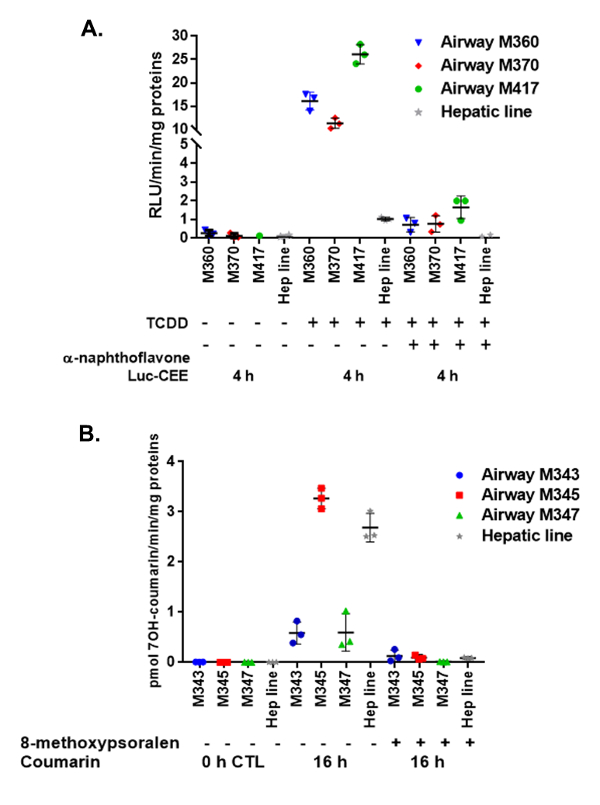 Dose-response chart of enzyme activity; TCDD exposure; airway, hepatic cell lines; luciferase assay results.