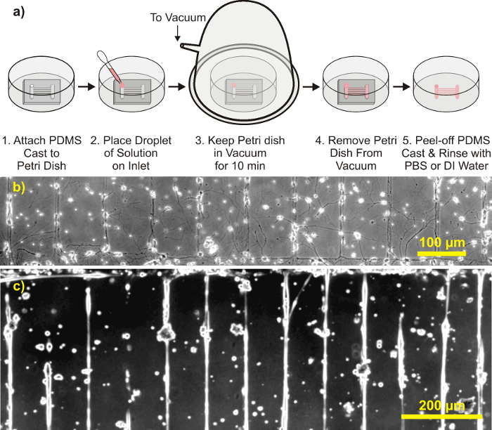 A Versatile Method of Patterning Proteins and Cells