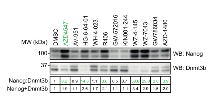 figure-results-3 figure-results-3