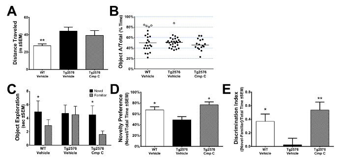 Behavioral analysis graphs; object interaction, preference, and exploration in Tg2576 mouse models.