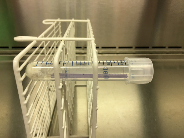 Test tube in a rack; lab experiment setup for sample analysis or chemical reaction observation.