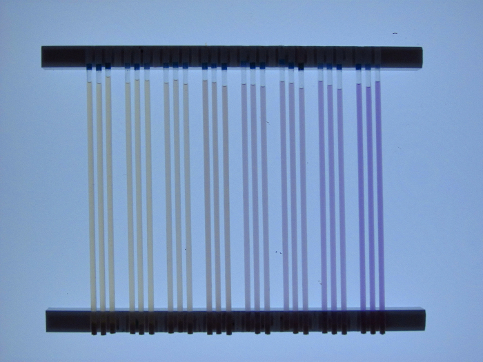 Capillary array for DNA separation, diagram showing electrophoresis setup for genetic analysis.