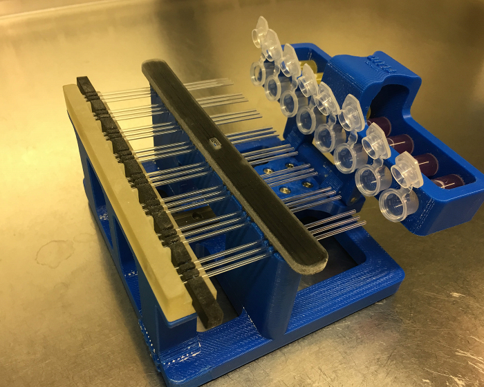 Microfluidics chip assembly in laboratory; pipette tips arranged for biological sample processing.