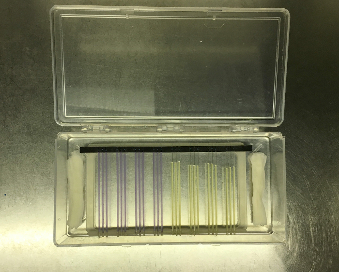 Capillary electrophoresis setup, DNA separation, plastic box, laboratory analysis, scientific research.
