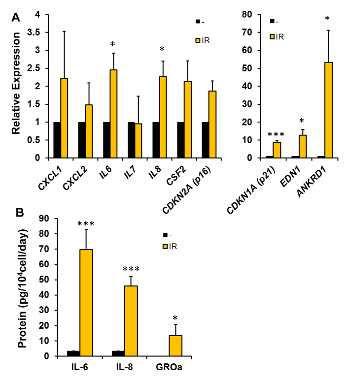 Bar graph of gene expression and protein levels post-IR. Analysis: cytokine response comparison.