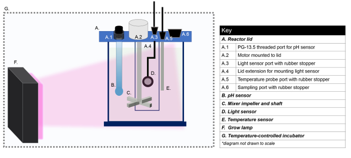 figure-protocol-5