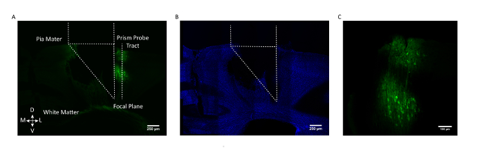 figure-results-3 figure-results-3