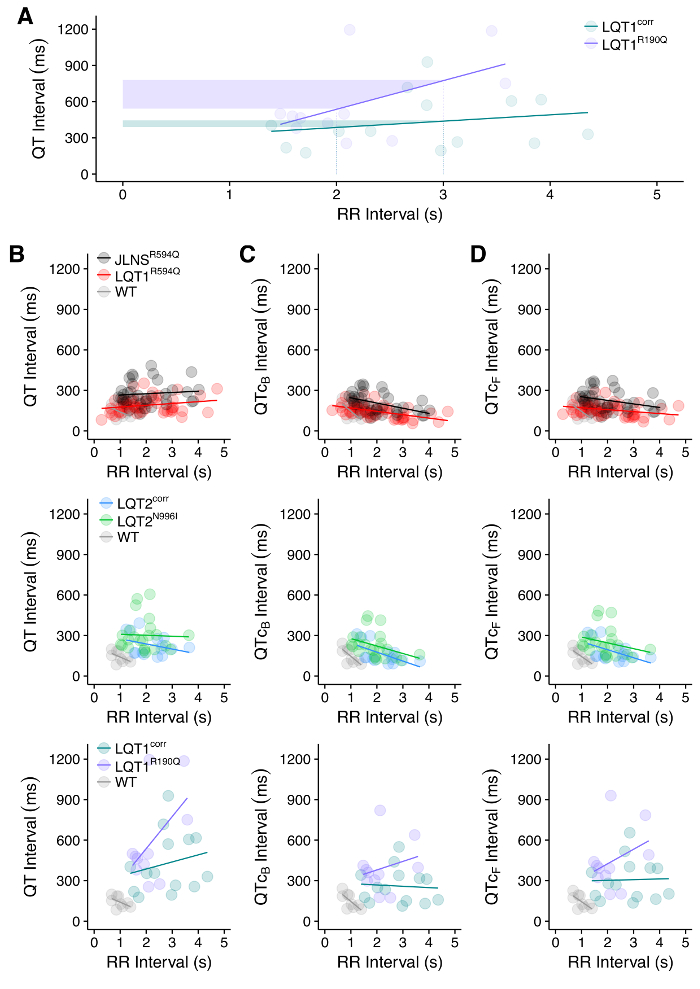 figure-results-10 QT interval vs RR interval; genotype effects; scatter plot; cardiology, electrophysiology research.