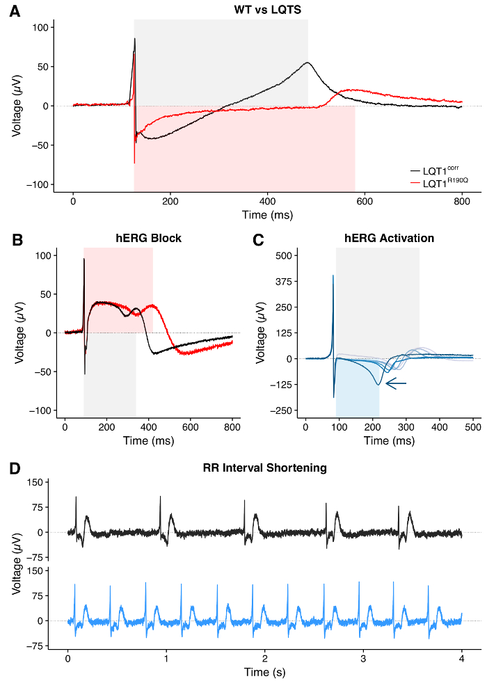 figure-results-11 WT vs LQTS voltage graphs; hERG block and activation analysis; RR interval shortening results.