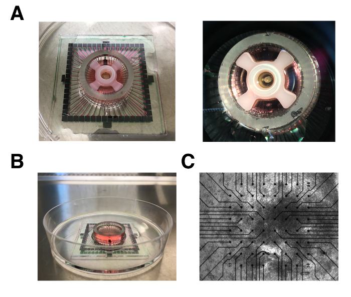 figure-results-3 Microfluidic device setup for cellular analysis; includes circuit patterns and fluid channeling.