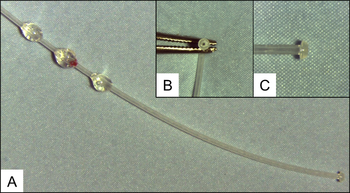 Evaluating the Procedure for Performing Awake Cystometry in a Mouse Model