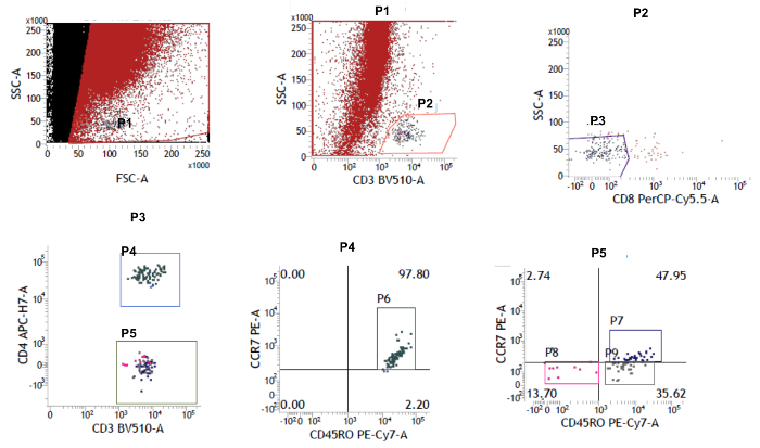 Flow cytometry dot plots; CD3, CD4, CD8 marker analysis; SSC, FSC axes, lymphocyte gating strategy.