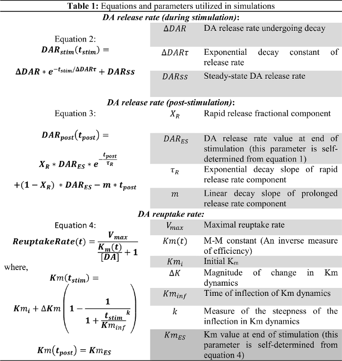 figure-introduction-2 Equations for dopamine release rate simulation; includes decay, reuptake formulas; simulation chart.