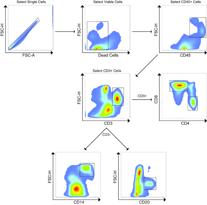 figure-results-2 figure-results-2