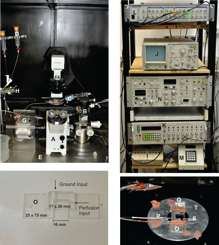 figure-protocol-2