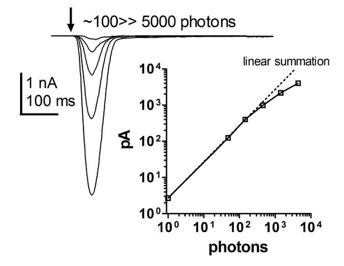figure-results-4