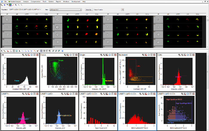 figure-results-2 Flow cytometry analysis; plots and histograms; cell population data; fluorescence intensity.