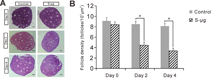 figure-results-2