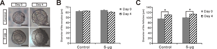 figure-results-4