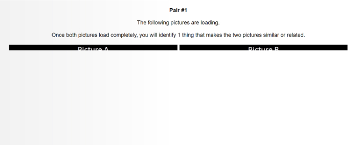 Static equilibrium comparison task, analyzing two picture pair similarities, cognitive assessment.