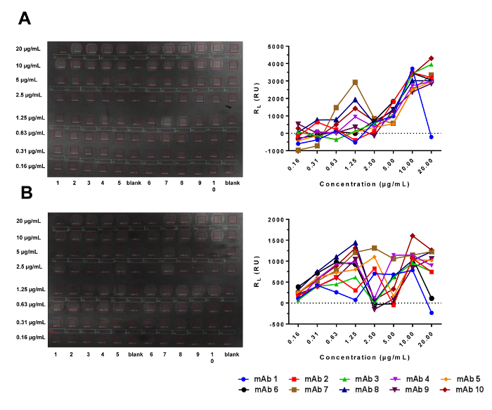figure-results-1 Antibody assay results; microarray, binding analysis, protein concentration, fluorescence charts.