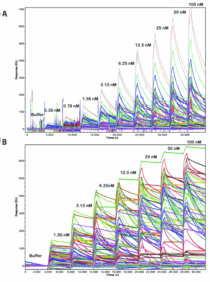 figure-results-2 SPR sensorgram, kinetic analysis; protein-ligand binding; response vs time graph; concentration curves.
