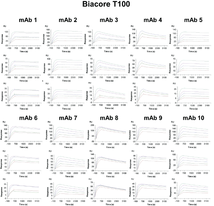 figure-results-3 Biacore T100 sensorgram chart, antibody binding kinetics, diagram showing response over time