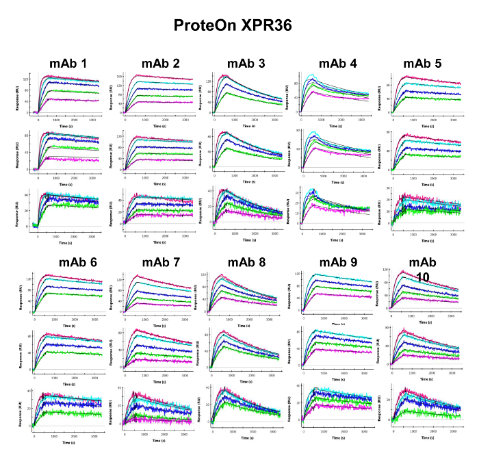 figure-results-4 ProteOn XPR36 mAb binding response graphs; protein interaction analysis, biosensor data.