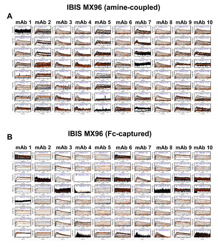 figure-results-6 IBIS MX96 sensorgrams; amine-coupled, Fc-captured; mAb analysis; protein interaction, data evaluation.