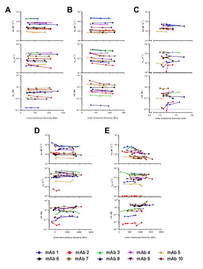 figure-results-8 Kinetics analysis graph showing association, dissociation rates, and affinity constant for mAb density.
