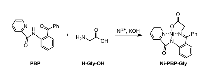 figure-introduction-1 Chemical reaction diagram: PBP reacts with H-Gly-OH forming Ni-PBP-Gly in presence of Ni²⁺, KOH.