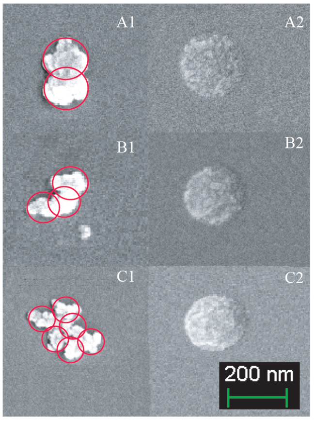 figure-results-10 Nanoparticle aggregation study via electron microscopy; A1-C2 diagram; size scale 200 nm.
