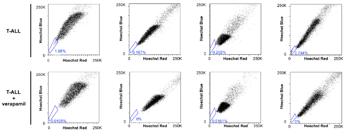 Flow cytometry scatter plot diagram; Hoechst Red vs. Blue staining, T-ALL cells with/without verapamil.