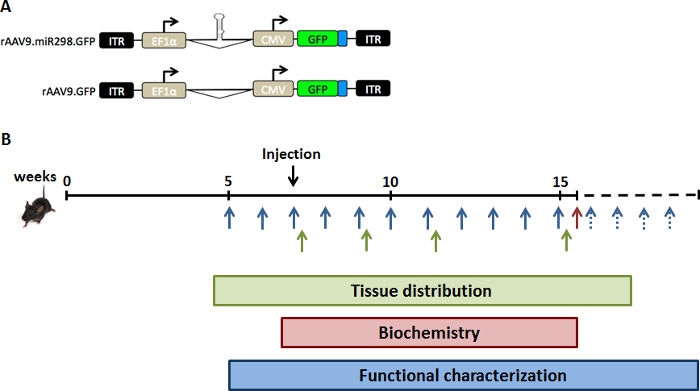 figure-results-1