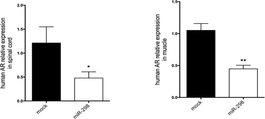 figure-results-3