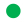 Green circle symbol, used in color-coded diagrams or charts for simple categorization.