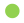 Green circle; represents a concept in color theory or a visual marker in design diagrams.