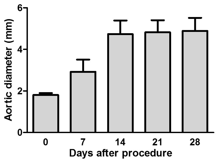Bar chart showing aortic diameter (mm) over time post-procedure (0, 7, 14, 21, 28 days).