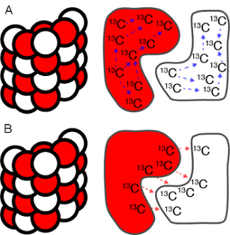 figure-protocol-4