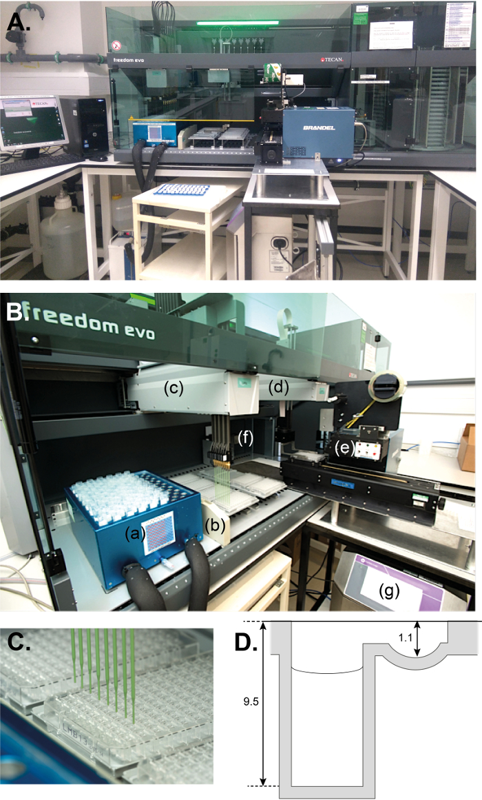 figure-results-1 Automated liquid handling system for sample processing and analysis, includes pipetting and microplate setup.