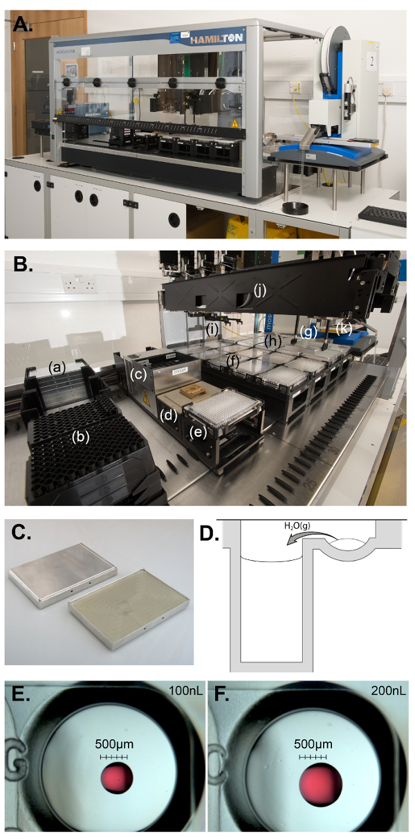 figure-results-2 Automated liquid handling for DNA/RNA extraction; visual setup, lab equipment, pipetting system.