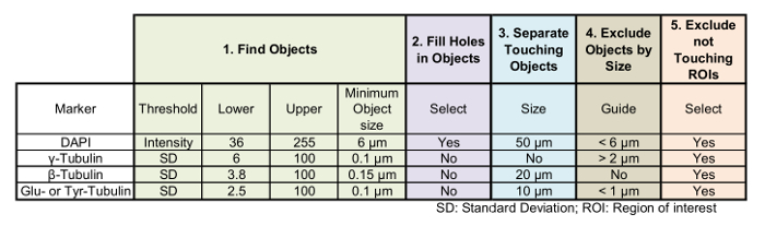 Object identification process; table; find, fill, separate, exclude objects; microscopy image analysis.