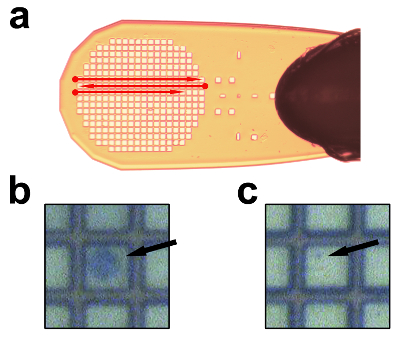 figure-protocol-3 Microscopy images of grid patterns on semiconductor wafer for defect analysis and quality control.