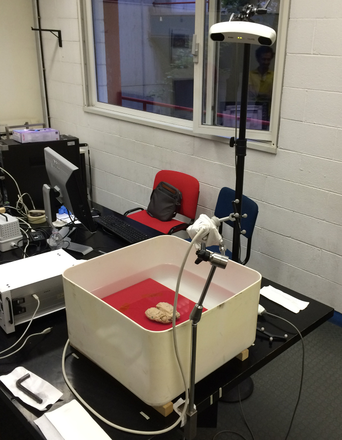 Brain imaging setup using optical equipment in a lab environment.