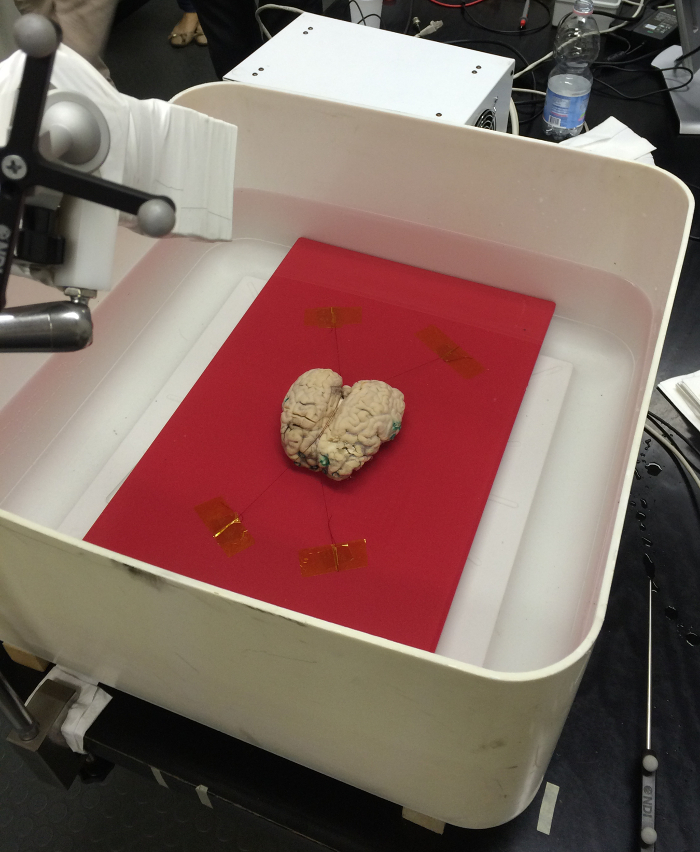 Brain imaging experiment setup; neuroimaging; optical equipment; neuroscience study.