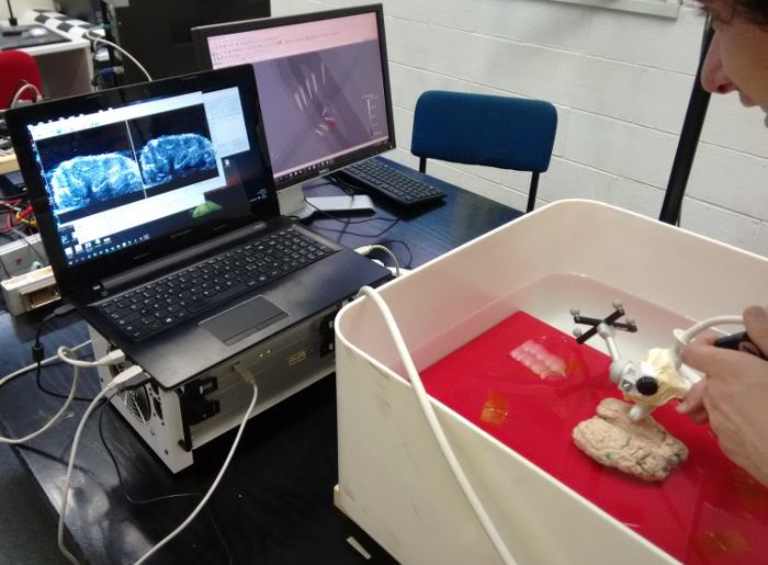 Ultrasound imaging setup with brain model in water bath, real-time scan on computer screens.