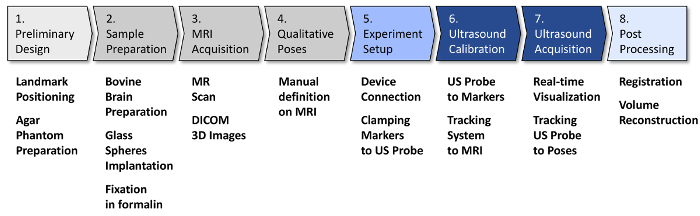 MRI and Ultrasound Imaging Workflow Diagram for Bovine Brain Experiment Setup and Calibration.
