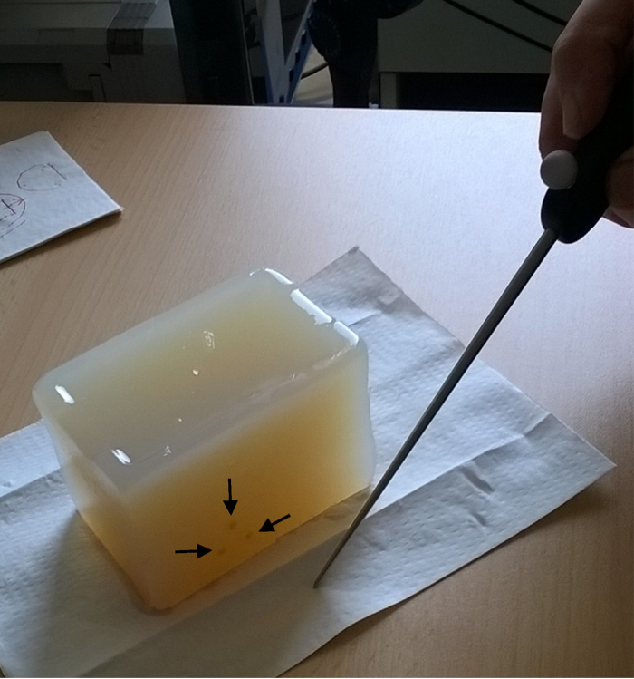 Cutting practice on ballistic gel block; demonstrating penetration, tool use, forensic method experiment.